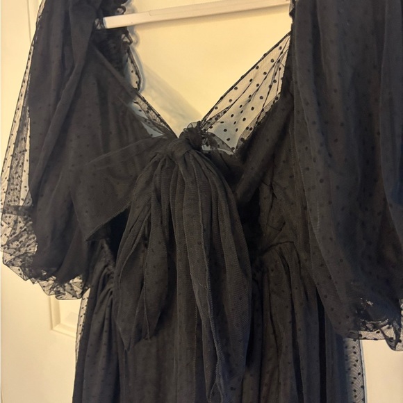 Windsor Black Polka Dot Sheer Dress - Picture 12 of 12